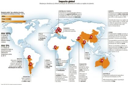 A hora da adaptação | Meio Ambiente