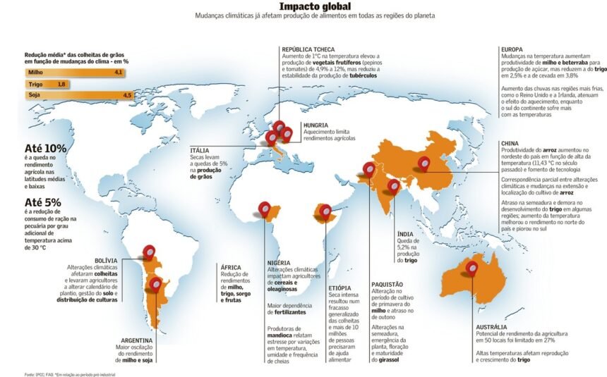 A hora da adaptação | Meio Ambiente