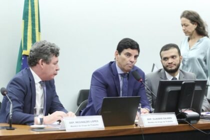 Grupo de trabalho sobre a regulamentação da reforma tributária — Foto: Vinicius Loures/Câmara dos Deputados