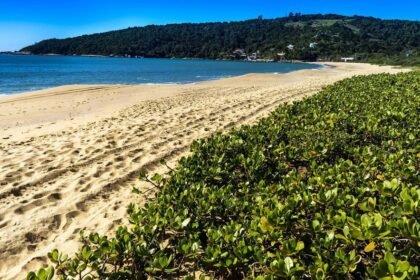 Praia em Balneário Camboriú (SC) — Foto: Divulgação/Prefeitura de Balneário Camboriú (SC)