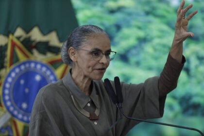 Marina Silva, ministra do Meio Ambiente — Foto: Cristiano Mariz/Agência O Globo