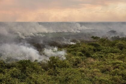 Focos de incêndio nos arredores de Corumbá (MS) — Foto: Marcelo Camargo/Agência Brasil