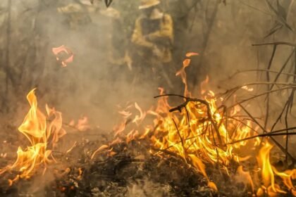 Brigadistas combatem incêndio no Pantanal — Foto: Marcelo Camargo/Agência Brasil