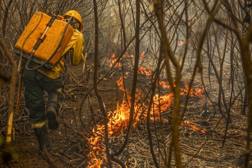 Brigadistas tentam combater fogo em área do Pantanal — Foto: Marcelo Camargo/Agência Brasil