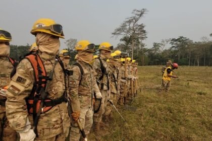 Brigadistas bolivianos que agem no combate aos incêndios florestais no país vizinho — Foto: Divulgação/Ministerio de Defensa da Bolivia