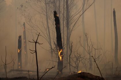 — Foto: Eraldo Peres/AP