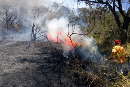 Focos de queimadas no Brasil se mantêm estáveis nas últimas 24 horas | Brasil