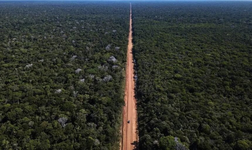 Trecho não pavimentado da BR-319, que liga Manaus (AM) a Porto Velho (RO) — Foto: Reprodução/Dnit