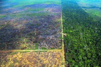 Por determinação do STF, União terá mais prazo para apresentar plano contra os desmatamentos na Amazônia — Foto: Edilson Dantas/Agência O Globo