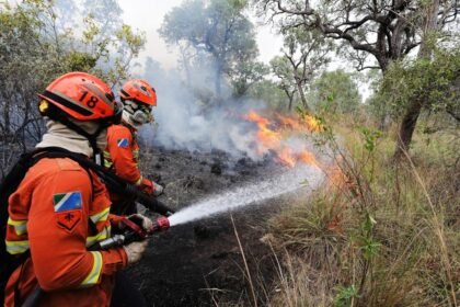 Força Nacional e CBM-MS atuam no combate a incêndios florestais no Pantanal, em junho de 2024 — Foto: Saul Schramm / Governo de MS