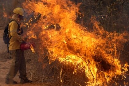 Queimadas - Incêndio em Brasília - A firefighter works to put out fires in the Brasilia National Forest, Brazil, in the middle of the dry season, Tuesday, Sept. 3, 2024. AP Photo/Eraldo Peres — Foto: Eraldo Peres/AP