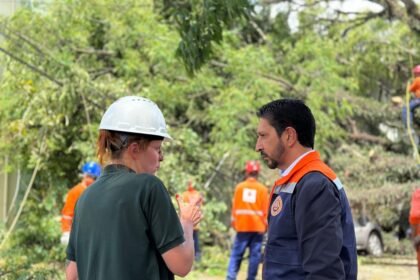 Prefeito de São Paulo, Ricardo Nunes, em rua onde árvores caíram após as fortes chuvas da última sexta (11) — Foto: Divulgação