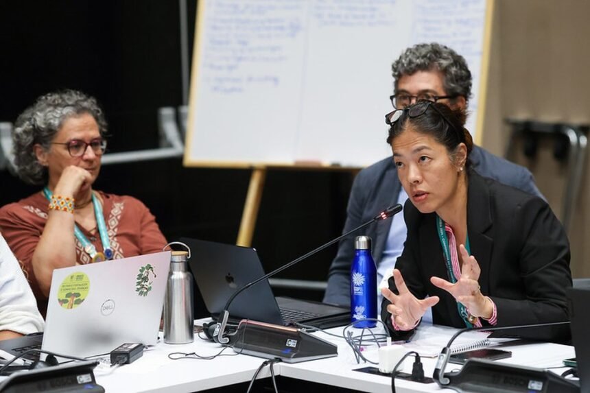 A diplomata Maria Angelica Ikeda, chefe dos negociadores brasileiros, em reunião da COP16, em Cali, Colômbia — Foto: Felipe Werneck/MMA