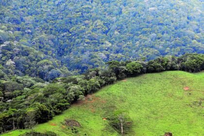 Lula reafirma compromisso de desmatamento zero até 2030 e cobra recursos de países ricos | Brasil