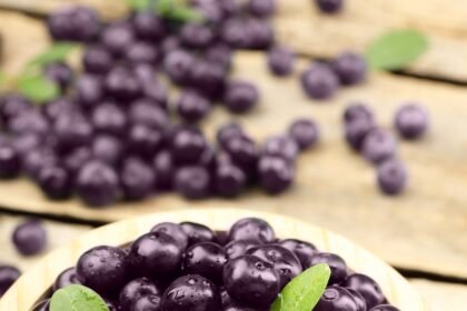 5 vantagens de consumir açaí