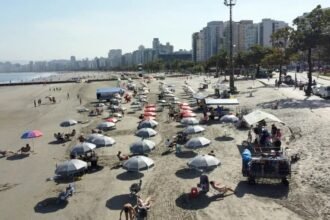 Praia de Santos (SP) — Foto: Carlos Nogueira/Prefeitura de Santos