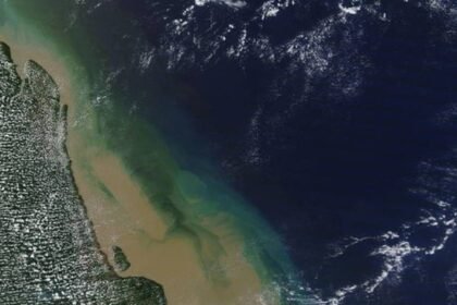 Região da Margem Equatorial, na Foz do Rio Amazonas  — Foto: Reprodução/Nasa